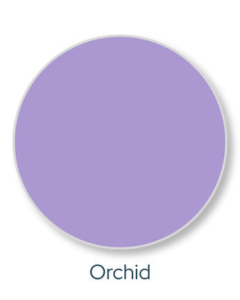 Orchid